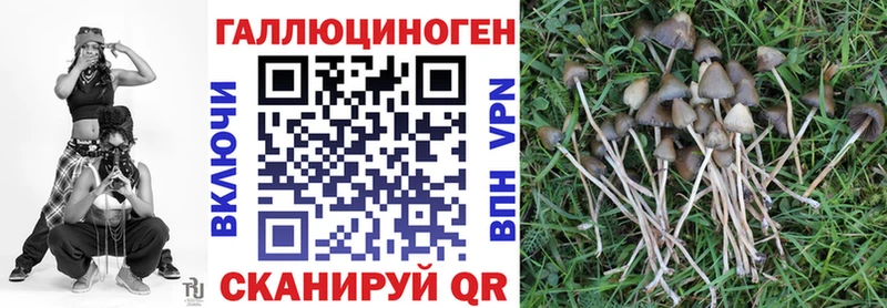 Псилоцибиновые грибы GOLDEN TEACHER  Мончегорск 